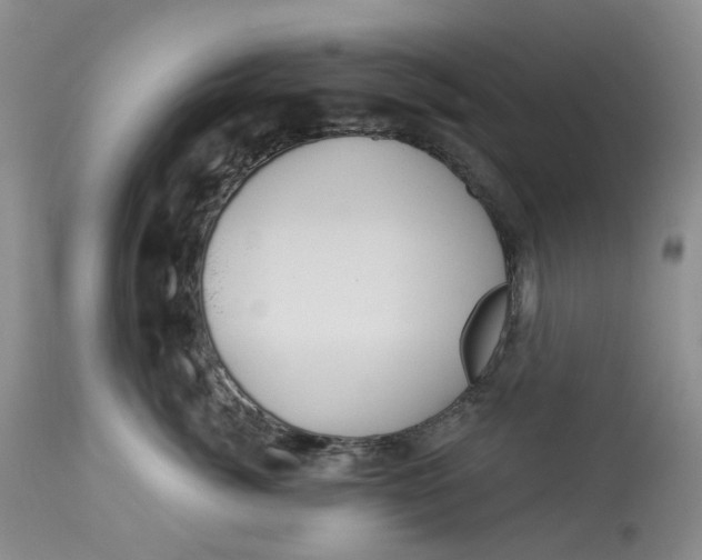 X0000113230764200910011409