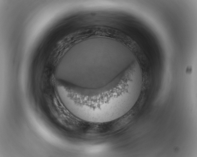 X0000113230765200910011409