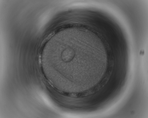 X0000113230766200910011409