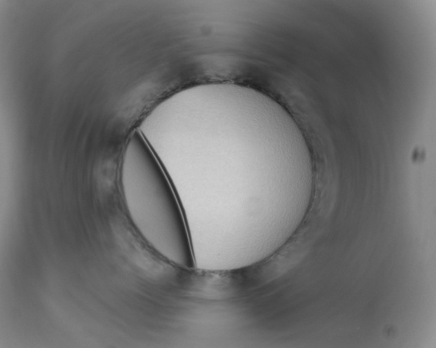 X0000113230768200910011409