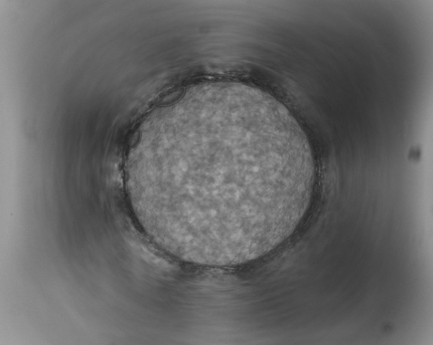 X0000113230770200910011408