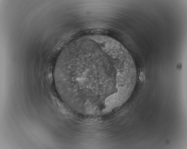 X0000113230771200910011408