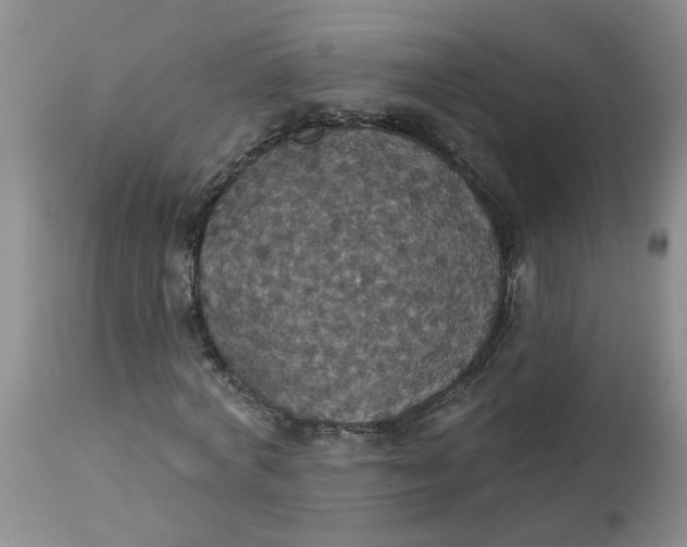 X0000113230772200910011408