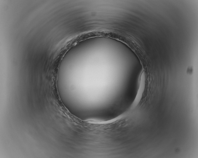 X0000113230773200910011408