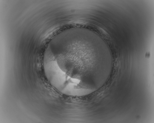 X0000113230774200910011408