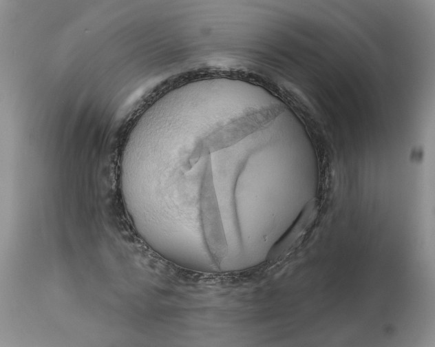 X0000113230776200910011408