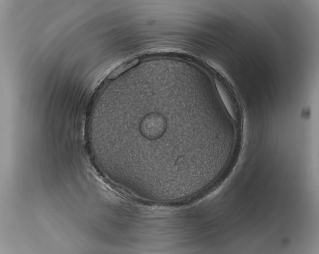 X0000113230777200910011408