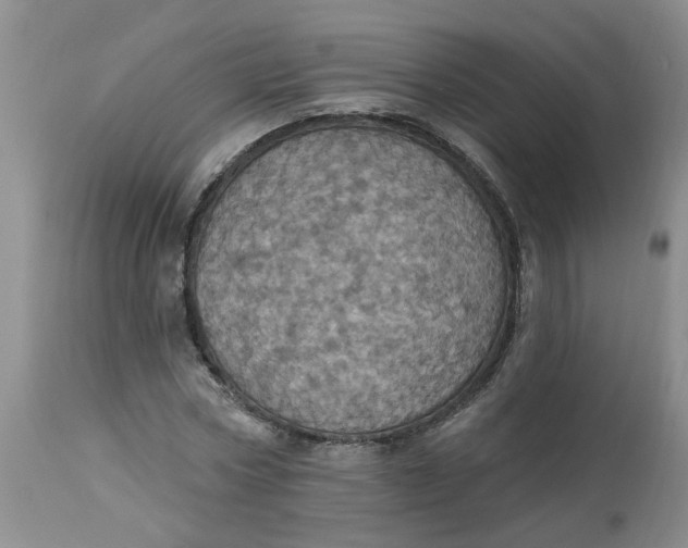 X0000113230778200910011408