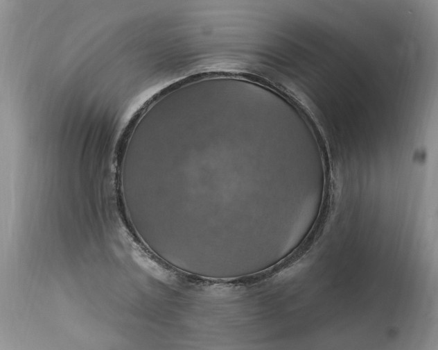 X0000113230779200910011408