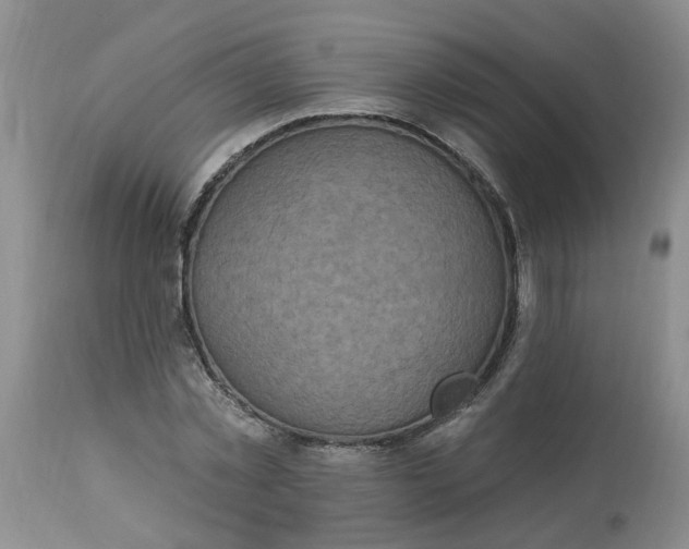 X0000113230781200910011408