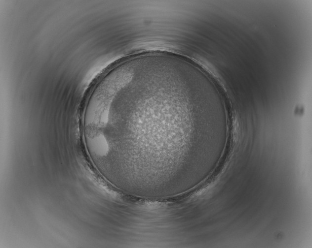 X0000113230782200910011408