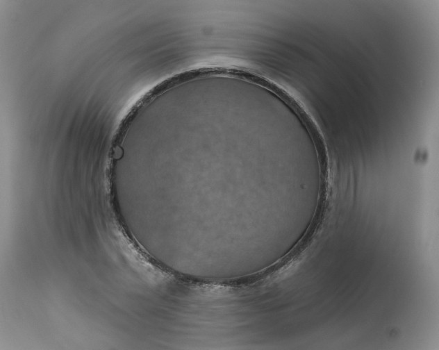 X0000113230783200910011408