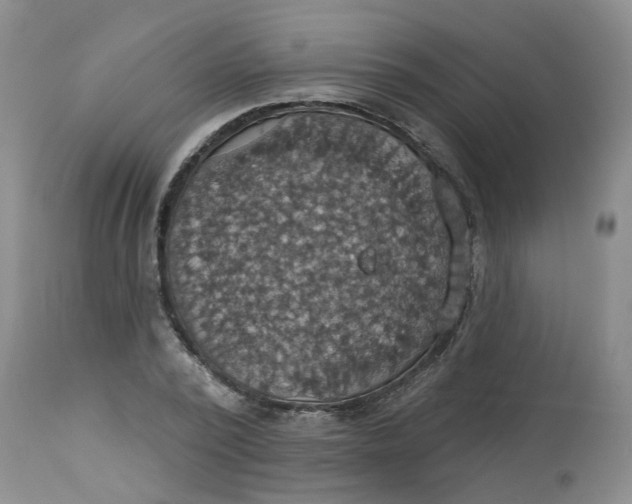 X0000113230784200910011408