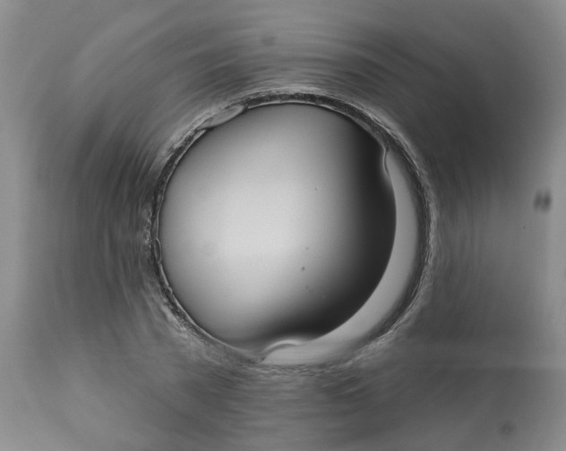 X0000113230785200910011408