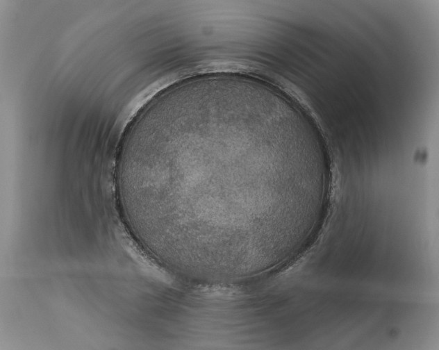 X0000113230786200910011408