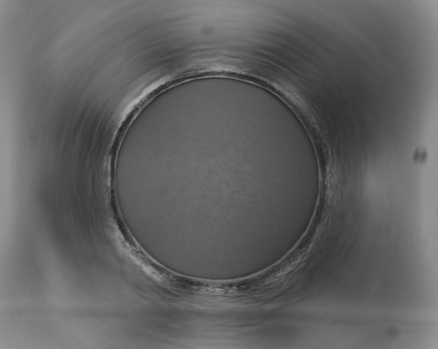 X0000113230790200910011408