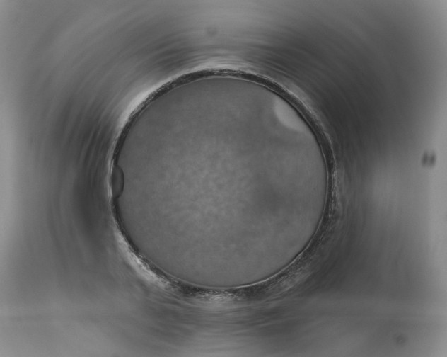 X0000113230791200910011408