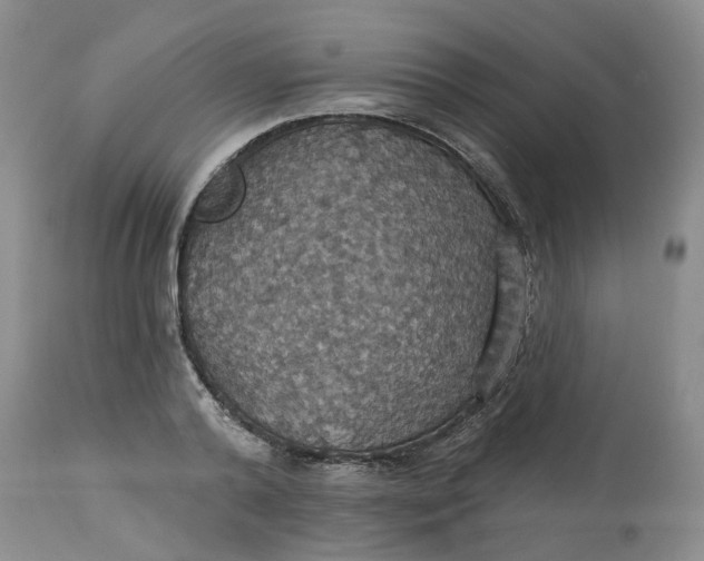 X0000113230792200910011408