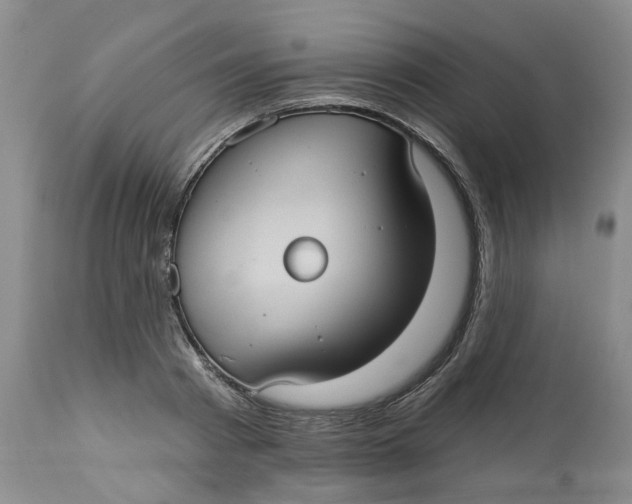 X0000113230793200910011408