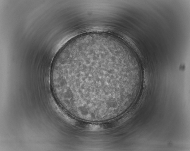 X0000113230794200910011408