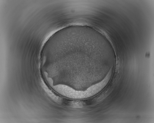 X0000113230795200910011408