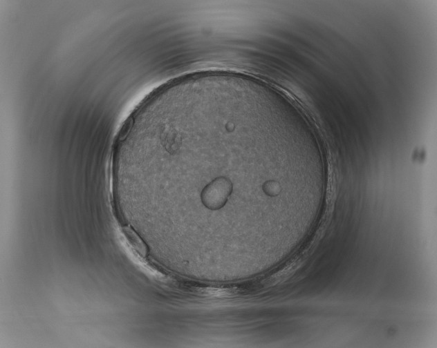 X0000113230796200910011408