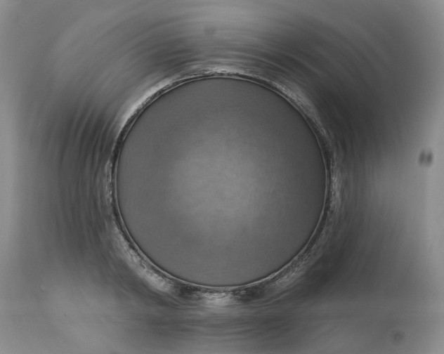 X0000113230798200910011408