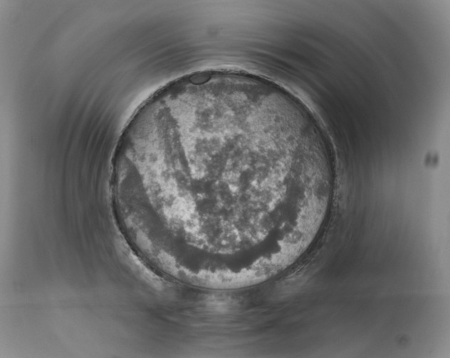 X0000113230799200910011408