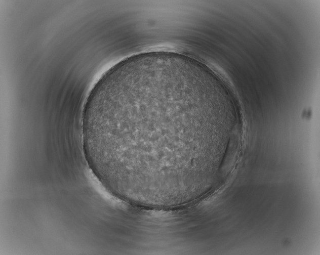 X0000113230800200910011408