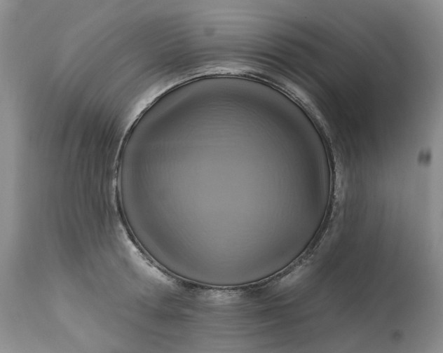 X0000113230802200910011408