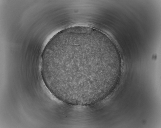 X0000113230804200910011408