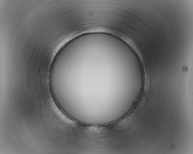 X0000113230805200910011408