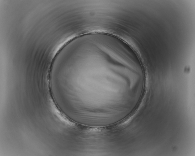 X0000113230806200910011408