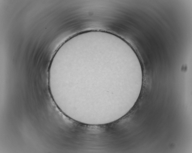 X0000113230807200910011407