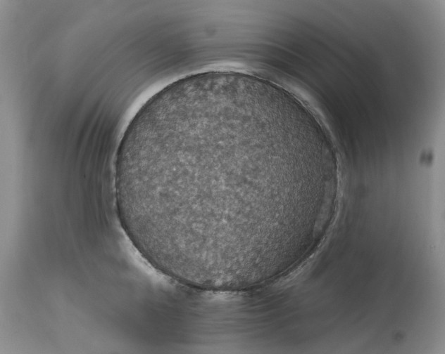 X0000113230808200910011407