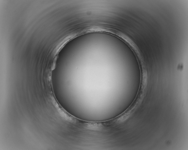 X0000113230809200910011407