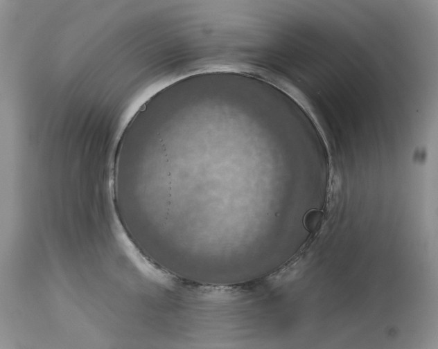 X0000113230811200910011407