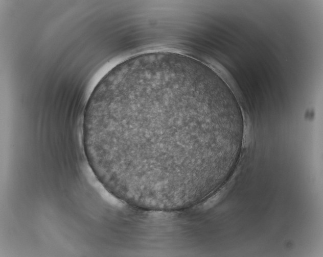 X0000113230812200910011407