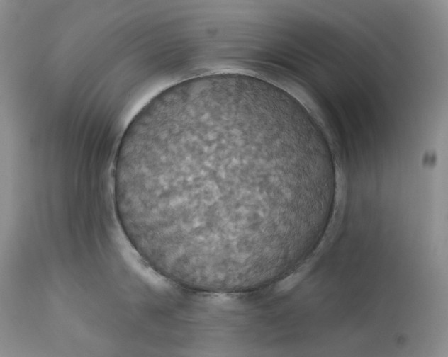 X0000113230814200910011407