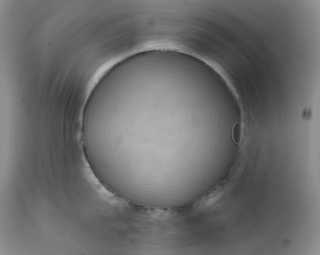 X0000113230815200910011407