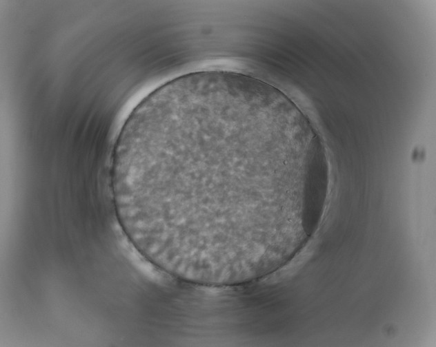 X0000113230816200910011407