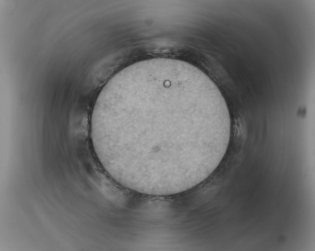 X0000113230820200910011407