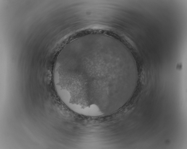 X0000113230821200910011407