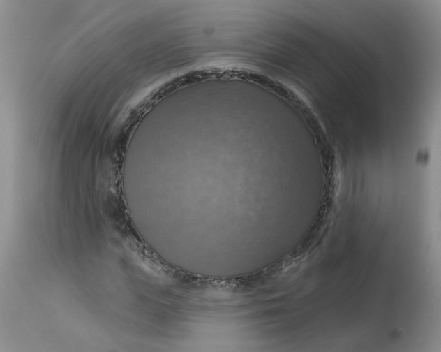 X0000113230823200910011407