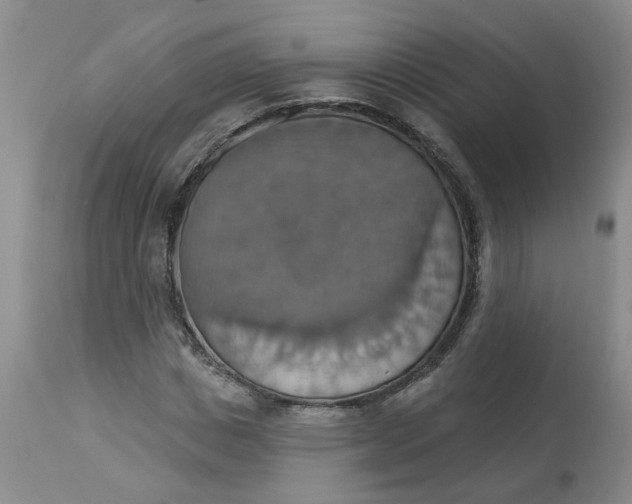 X0000113230825200910011407