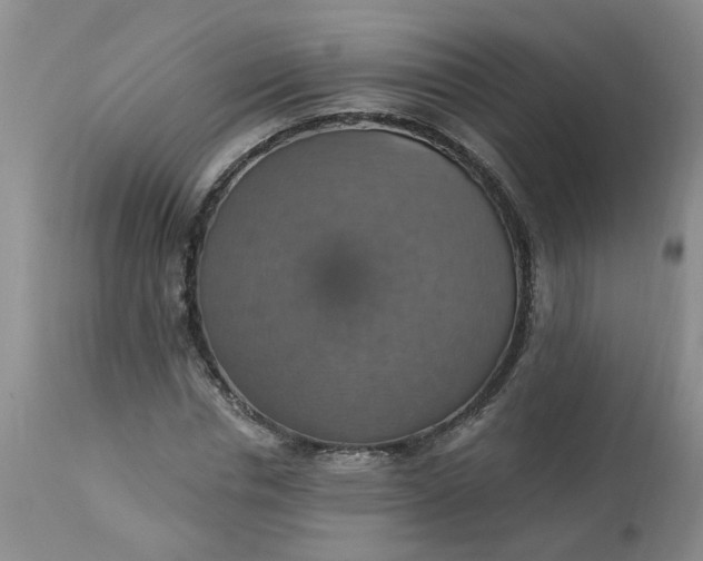 X0000113230826200910011407