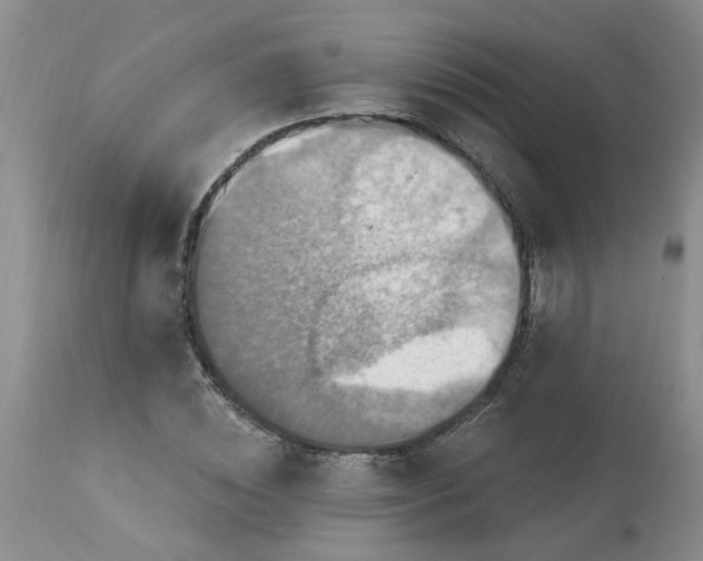 X0000113230828200910011407