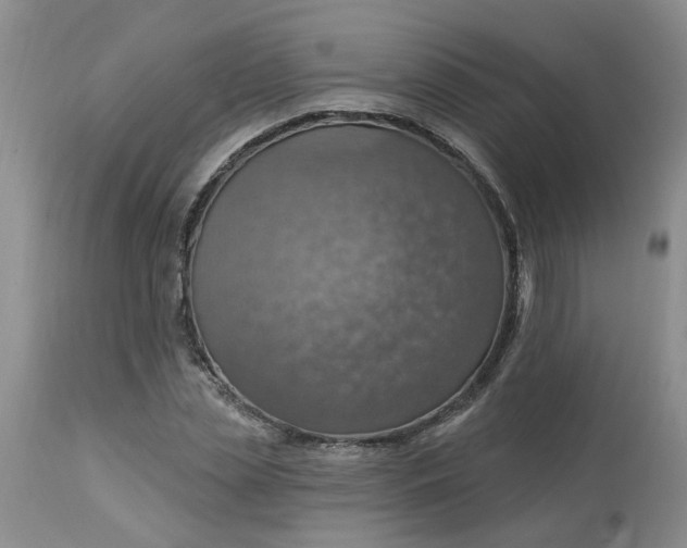 X0000113230829200910011407