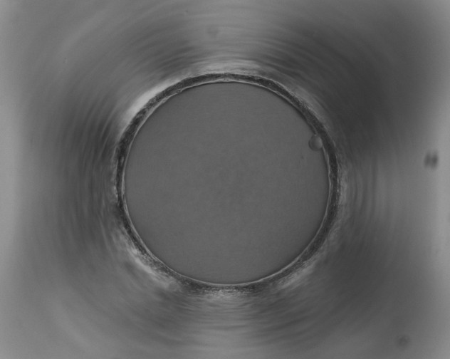 X0000113230830200910011407