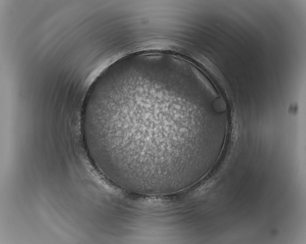 X0000113230834200910011407